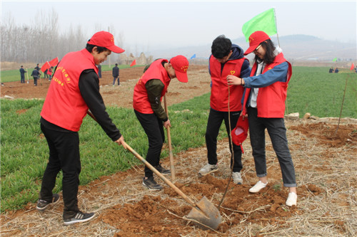 校区学生参加费县植树节活动