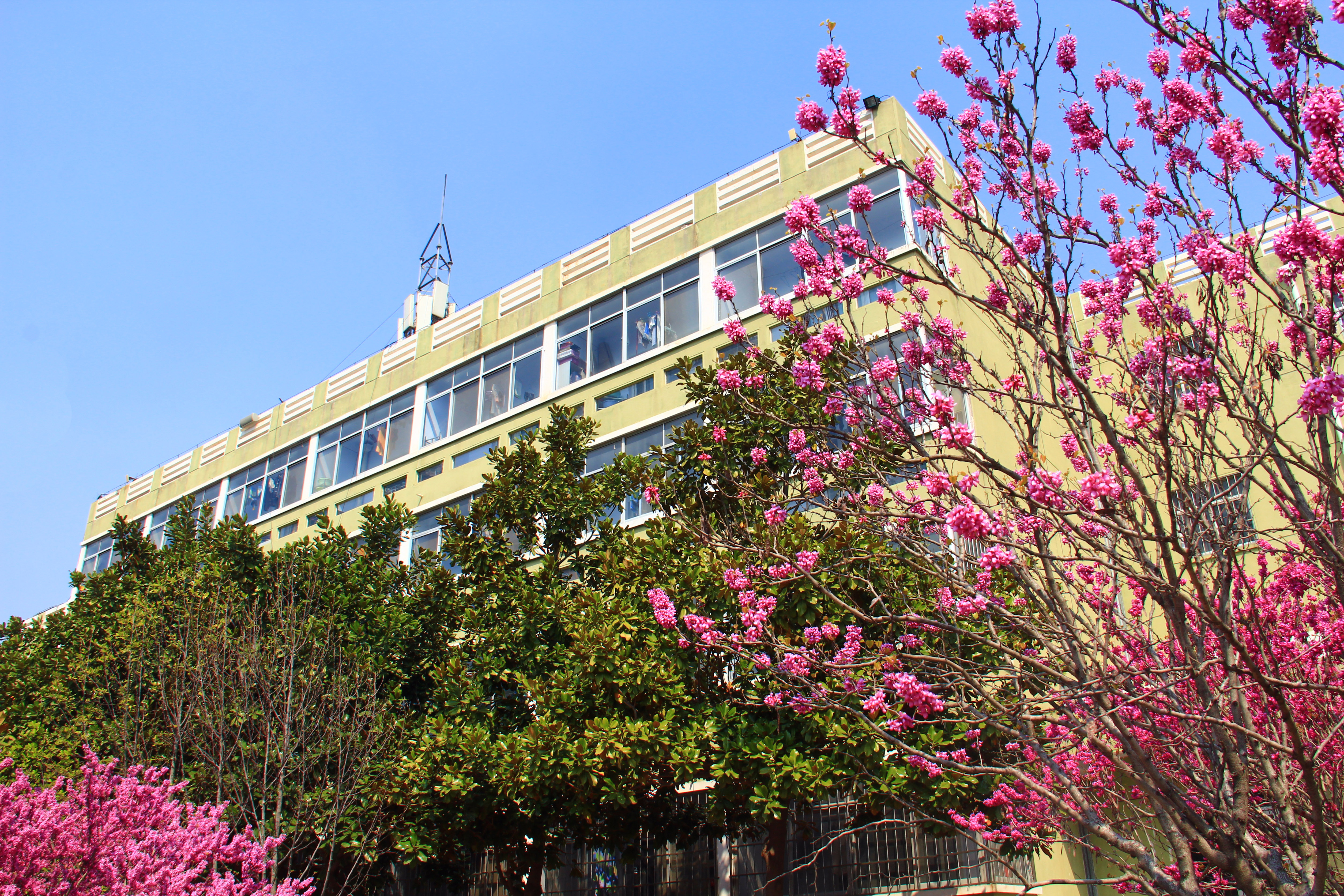 春满校园 静待学子-青岛理工大学(临沂)校区